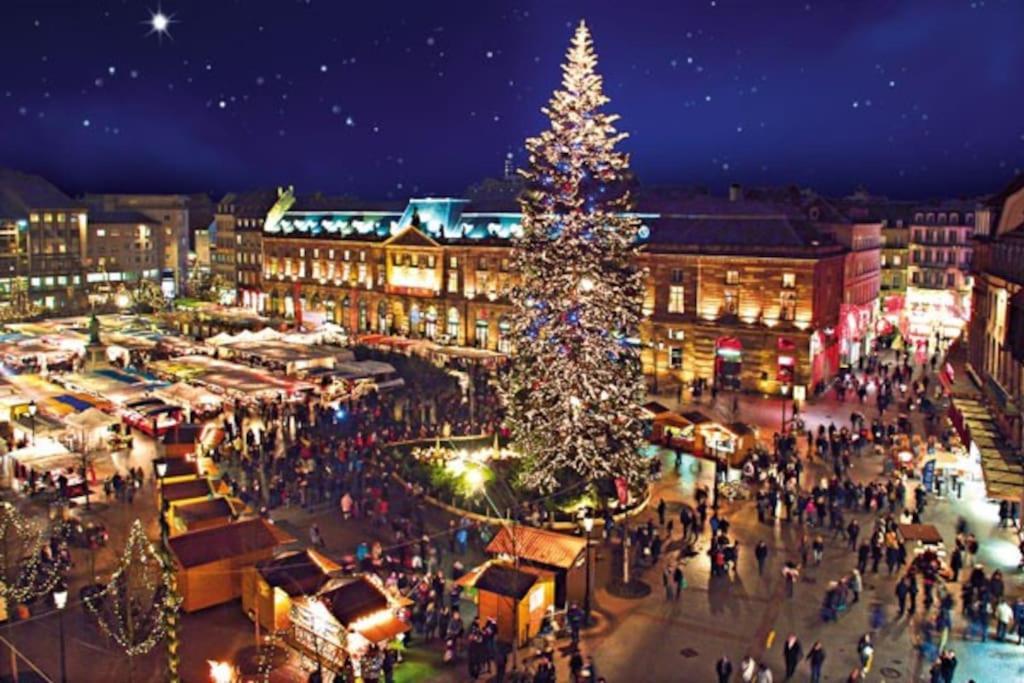 R-Appartements Strasbourg Cosy Orangerie Pour Vos Sejours En Famille Ou Entre Amis Zewnętrze zdjęcie